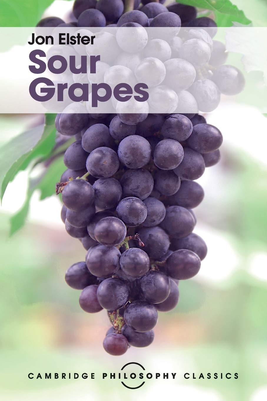 Sour Grapes: Studies in the Subversion of Rationality (Cambridge Philosophy Classics),Used