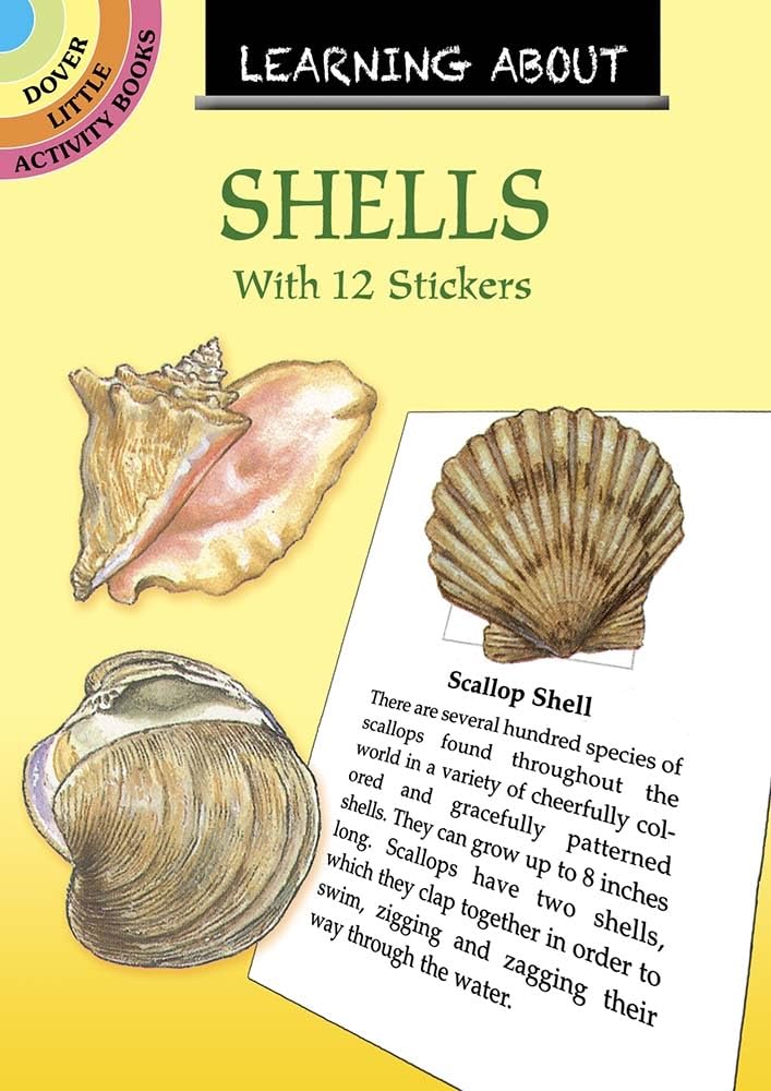 Learning About Seashells (Dover Little Activity Books: Sea Life),Used