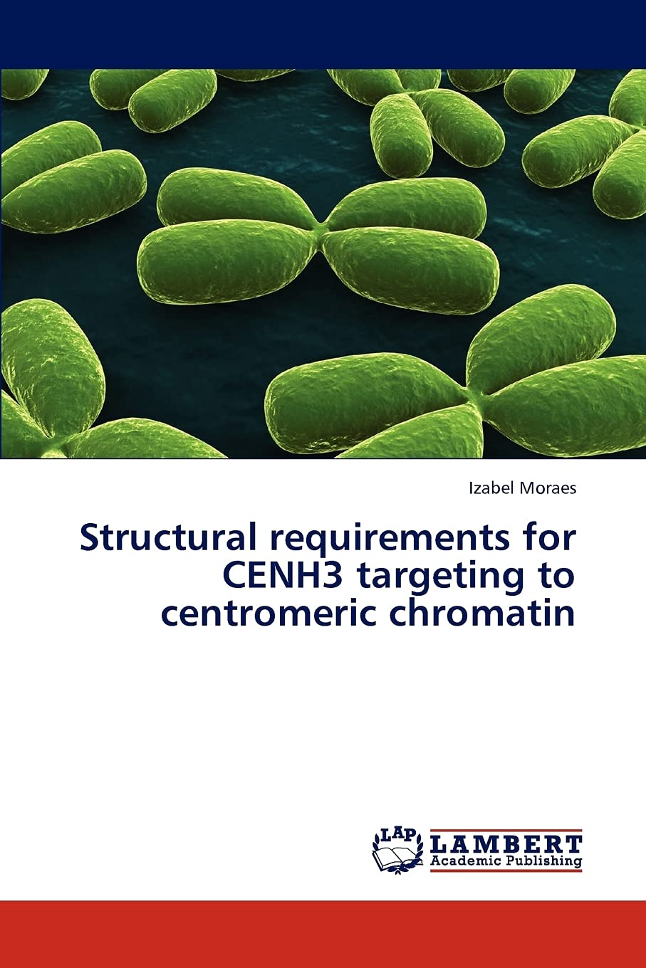 Structural requirements for CENH3 targeting to centromeric chromatin,Used