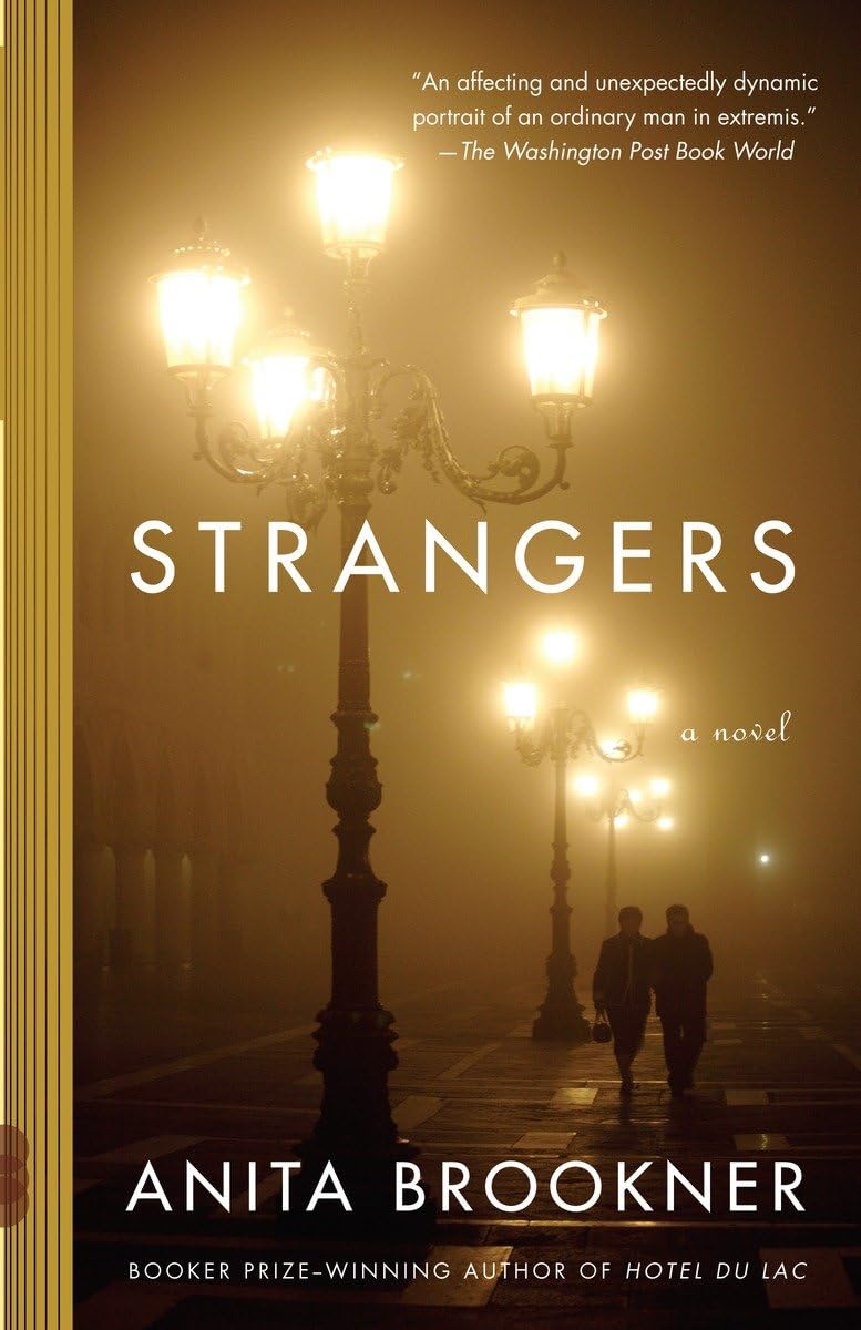 Strangers (Vintage Contemporaries),Used