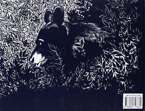 Arandanos para Sal (Spanish Edition),Used