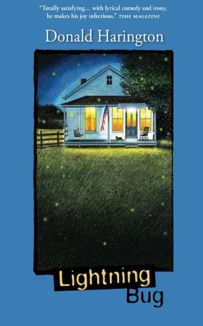 Lightning Bug (Stay More),Used