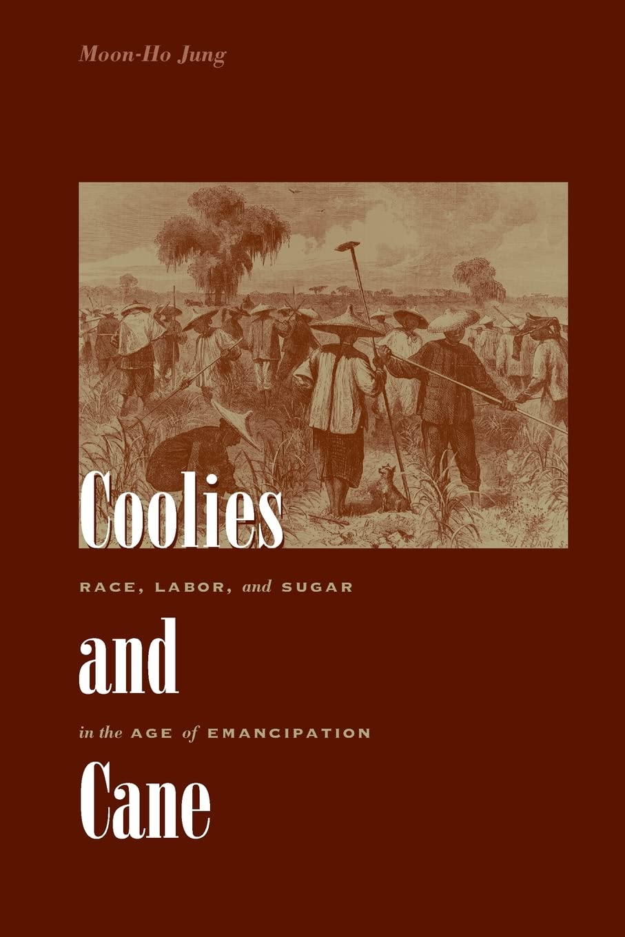 Coolies And Cane: Race, Labor, And Sugar In The Age Of Emancipation,New