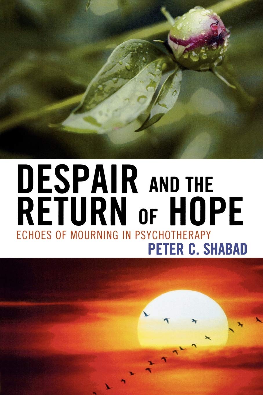 Despair and the Return of Hope: Echoes of Mourning in Psychotherapy,Used