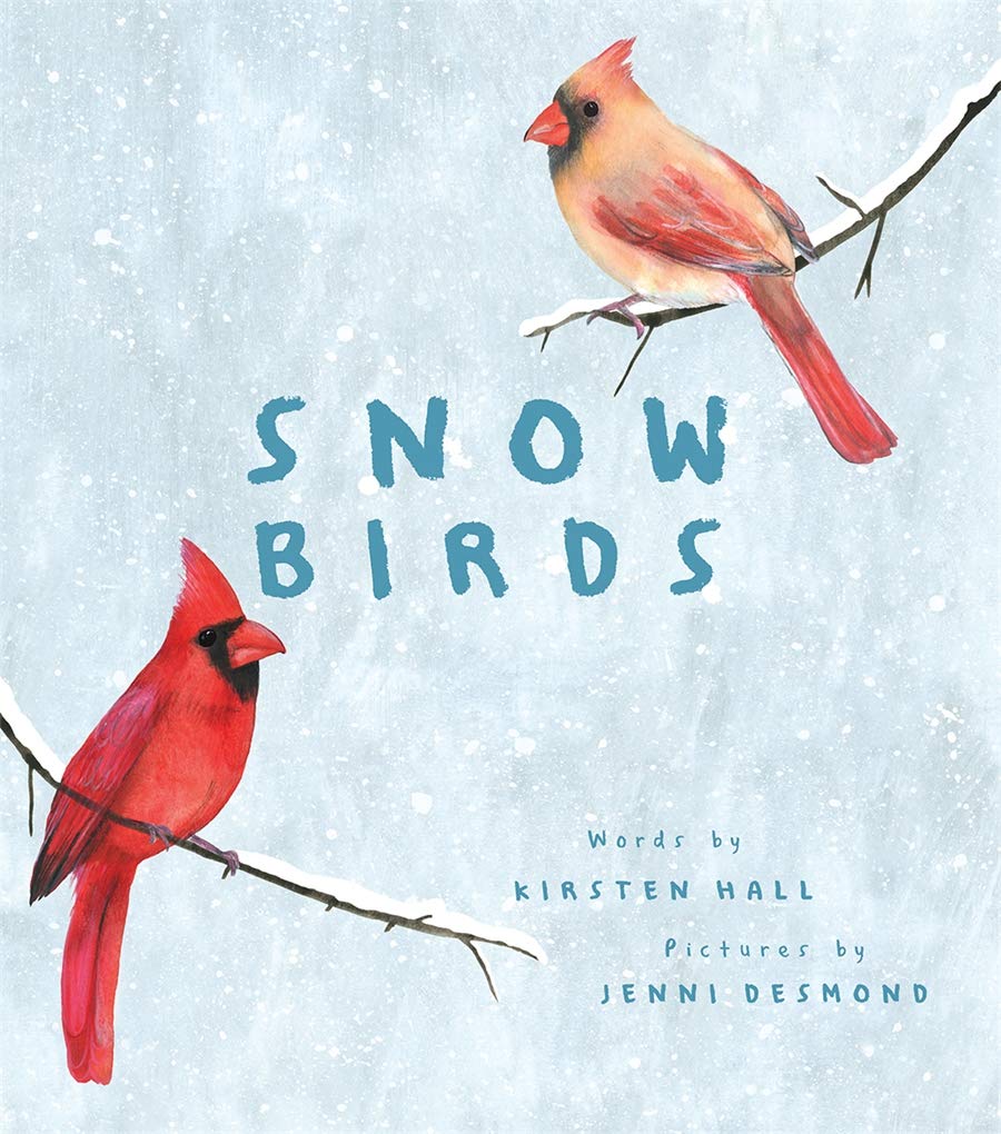 Snow Birds: A Picture Book,Used