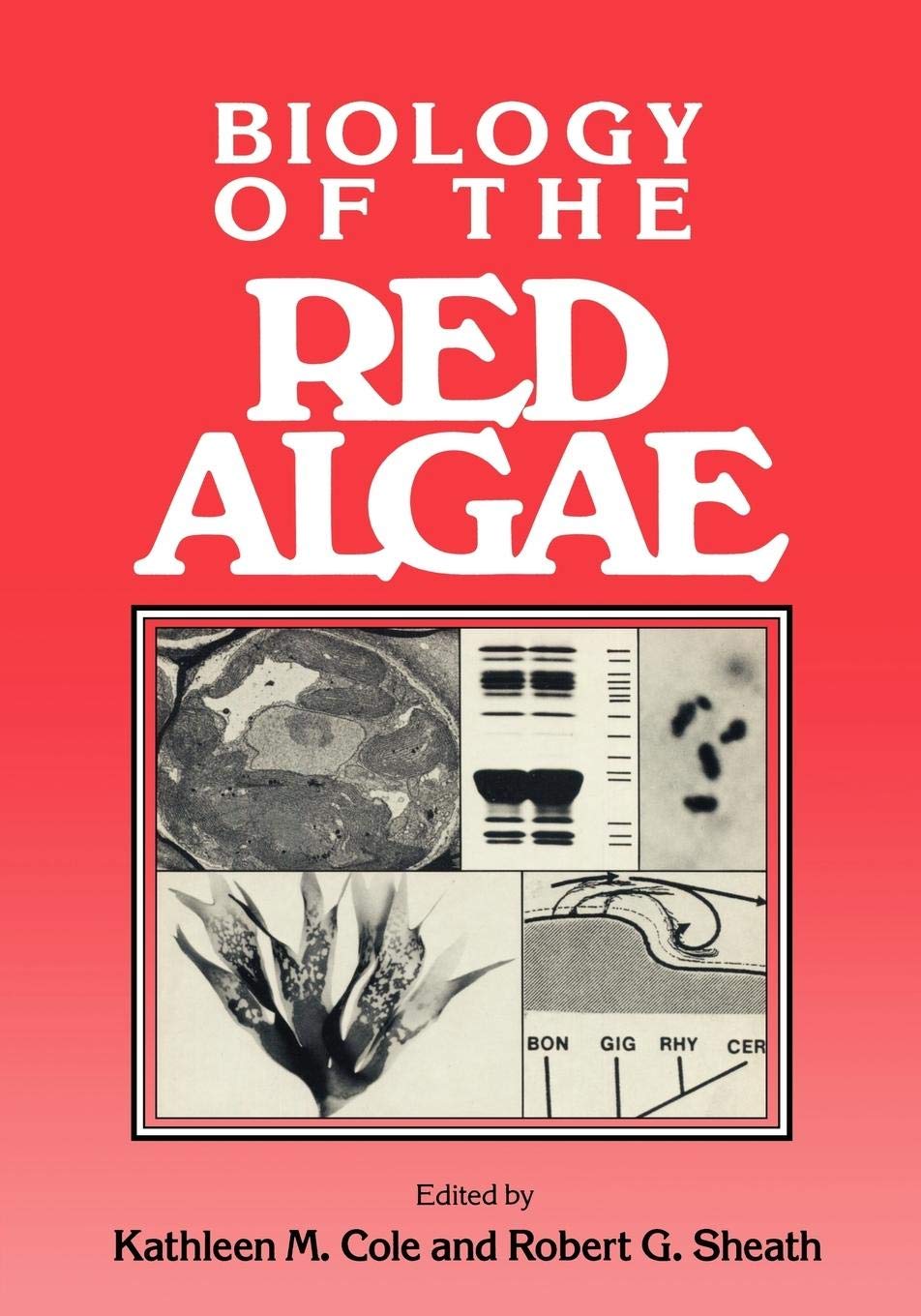Biology of the Red Algae,Used