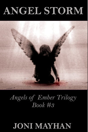 Angel Storm (Angels Of Ember),Used