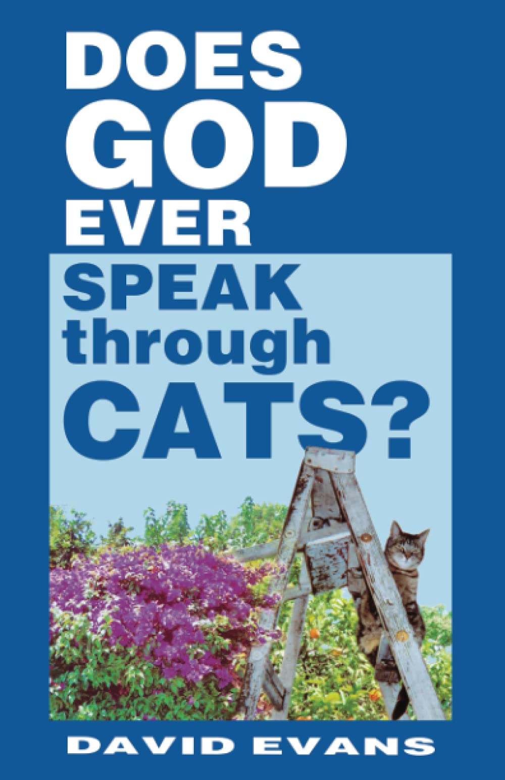 Does God Ever Speak Through Cats?-new,New