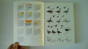 A Field Guide To The Birds Of China,Used