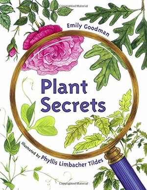 Plant Secrets,Used