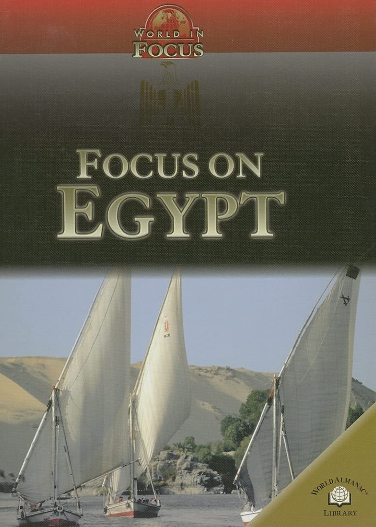 Focus on Egypt (World in Focus),Used