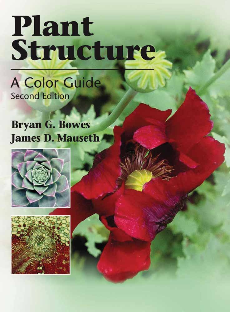 Plant Structure: A Colour Guide,Used