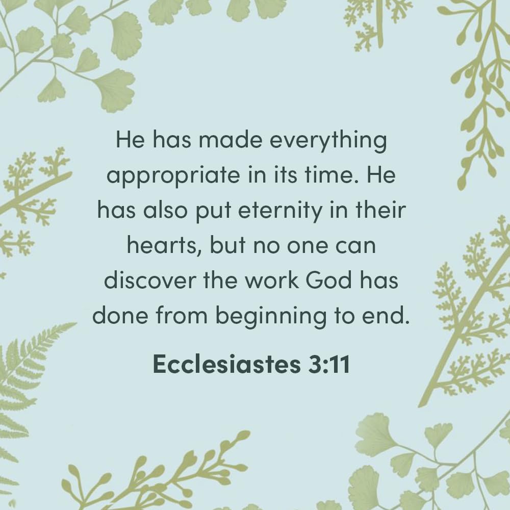 Life Under the Sun  Bible Study Book: The Unexpectedly Good News of Ecclesiastes,New