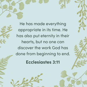 Life Under the Sun  Bible Study Book: The Unexpectedly Good News of Ecclesiastes,New