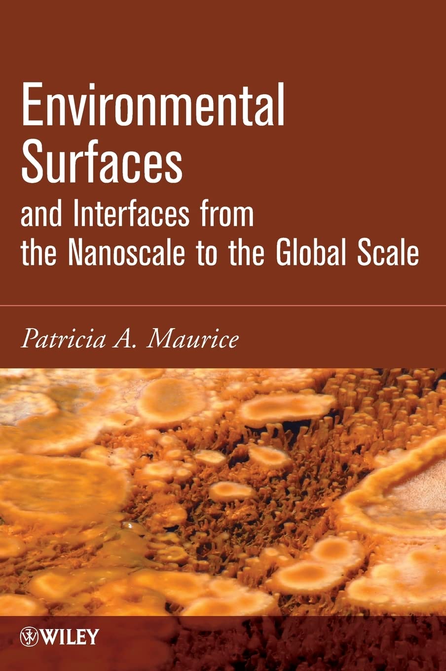 Environmental Surfaces and Interfaces from the Nanoscale to the Global Scale,New