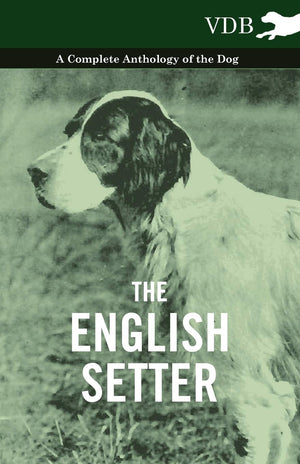 The English Setter  A Complete Anthology Of The Dog,Used