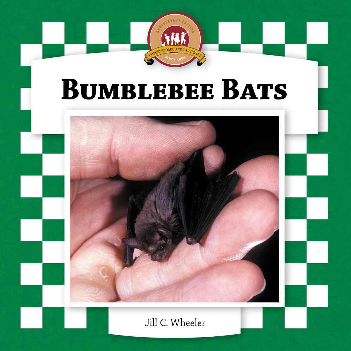 Bumblebee Bats (Bats Set II),Used