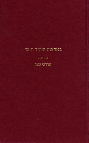 In the Lands of Sumer and Akkad: New Studies (Studies in the Humanities) (English and Hebrew Edition),Used