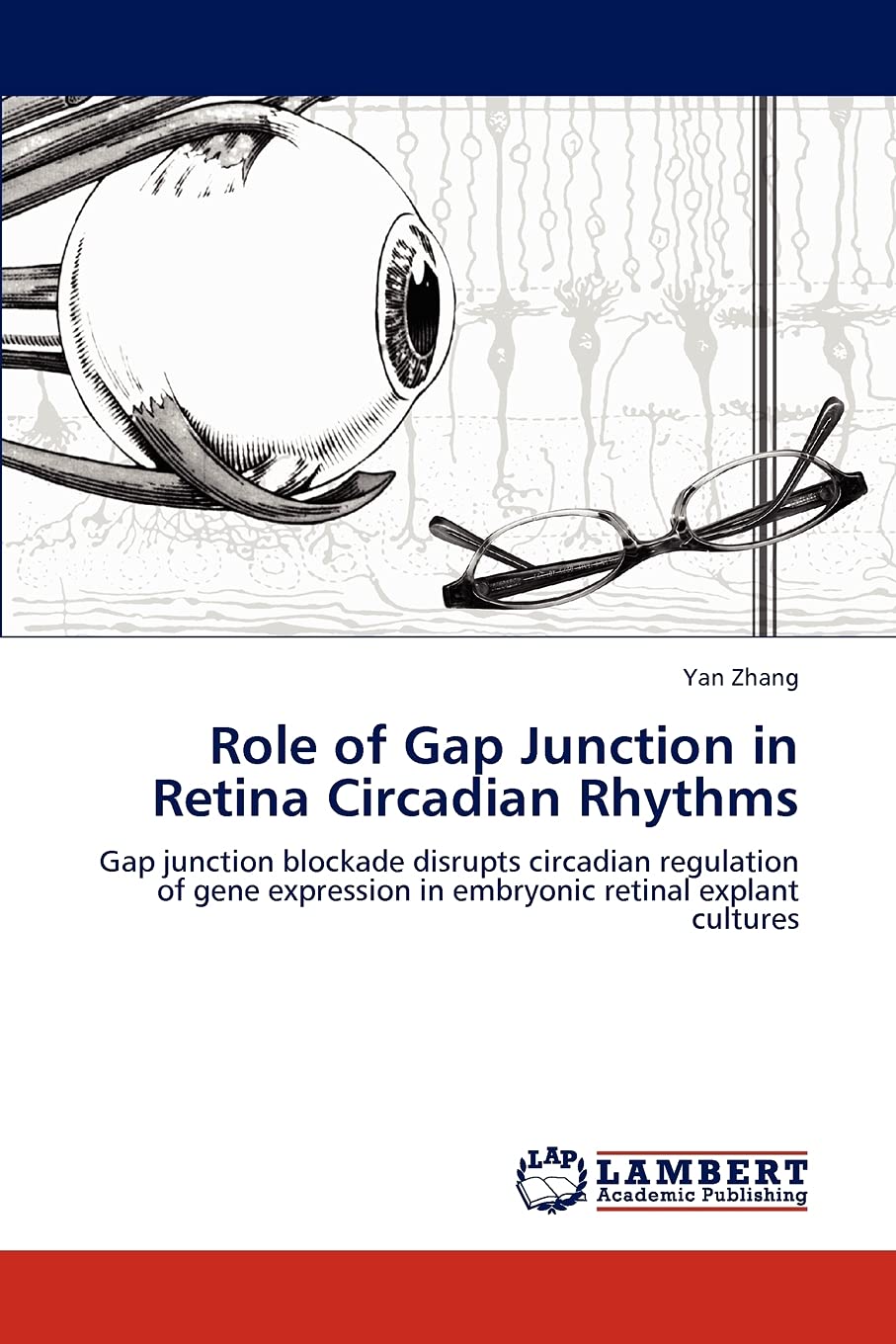 Role of Gap Junction in Retina Circadian Rhythms: Gap junction blockade disrupts circadian regulation of gene expression in embr,Used