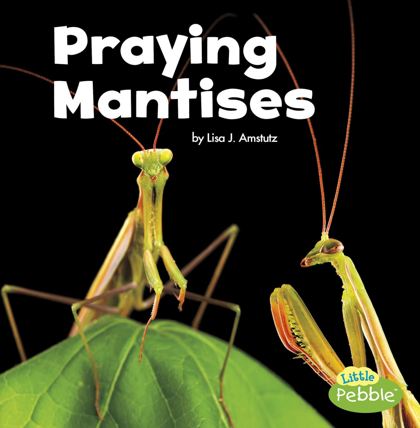 Praying Mantises (Little Critters),Used