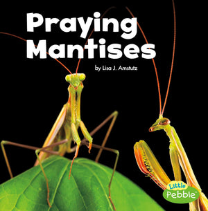 Praying Mantises (Little Critters),Used