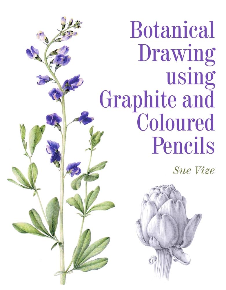 Botanical Drawing Using Graphite And Coloured Pencils