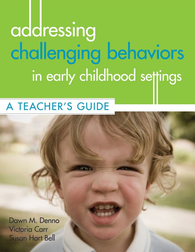 Addressing Challenging Behaviors in Early Childhood Settings: A Teacher's Guide,Used