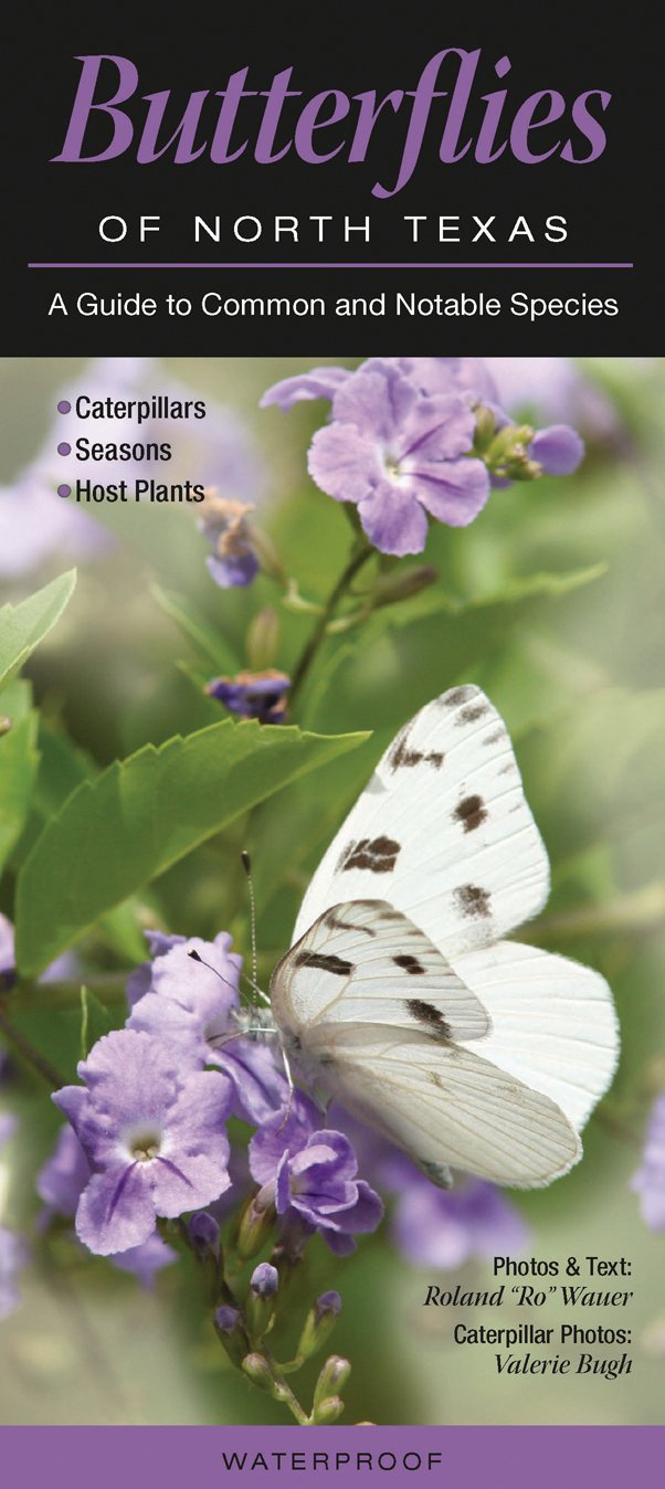 Butterflies of North Texas: A Guide to Common & Notable Species (Quick Reference Guides),Used