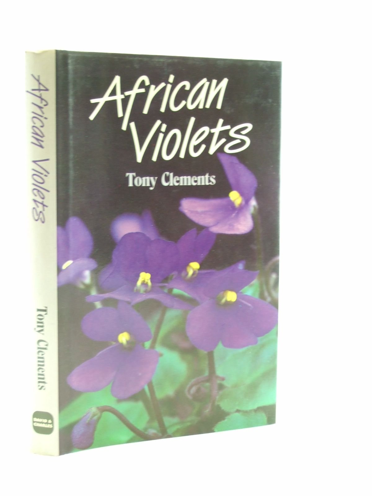 African violets,Used