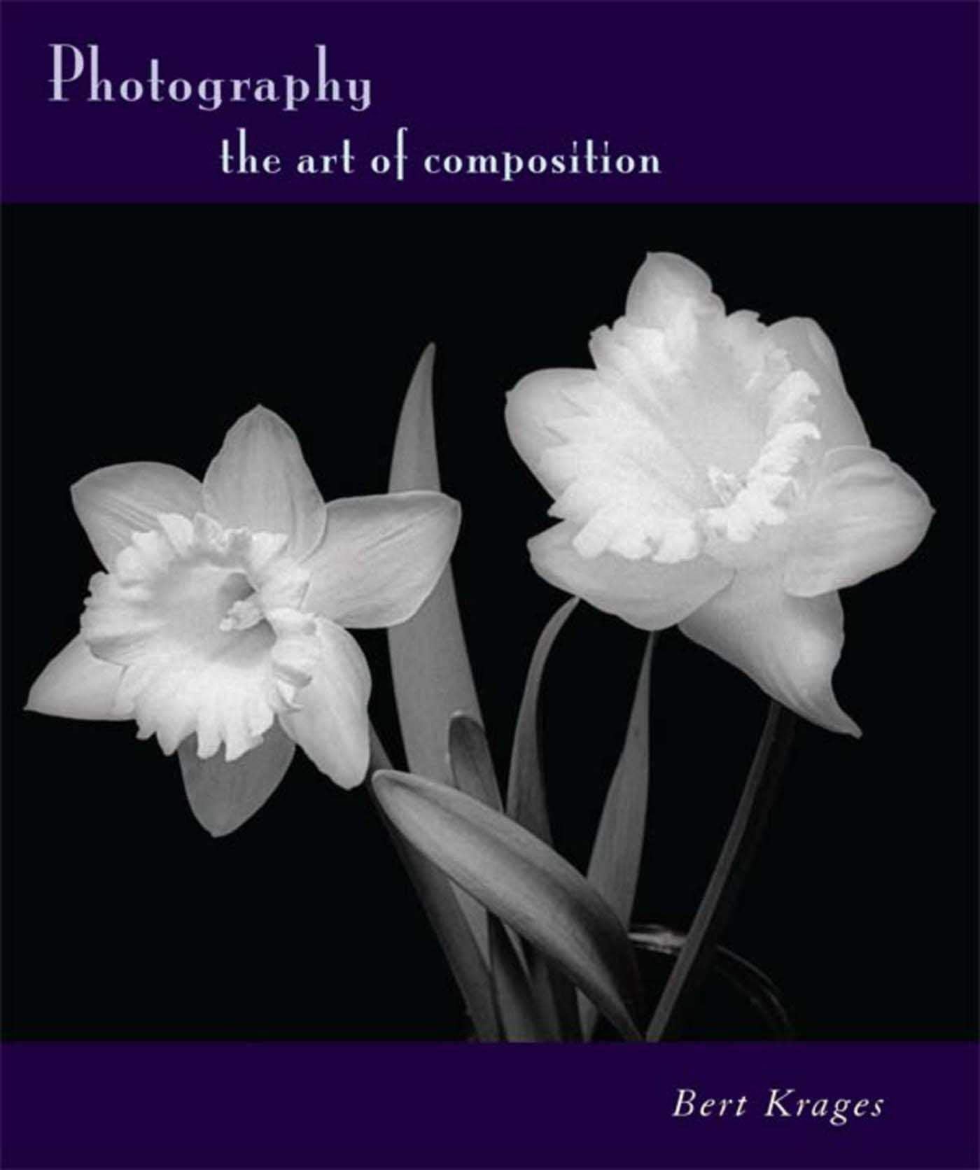Photography: The Art of Composition,New