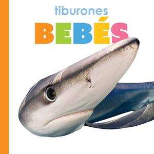 Tiburones Bebs (Spanish Edition)