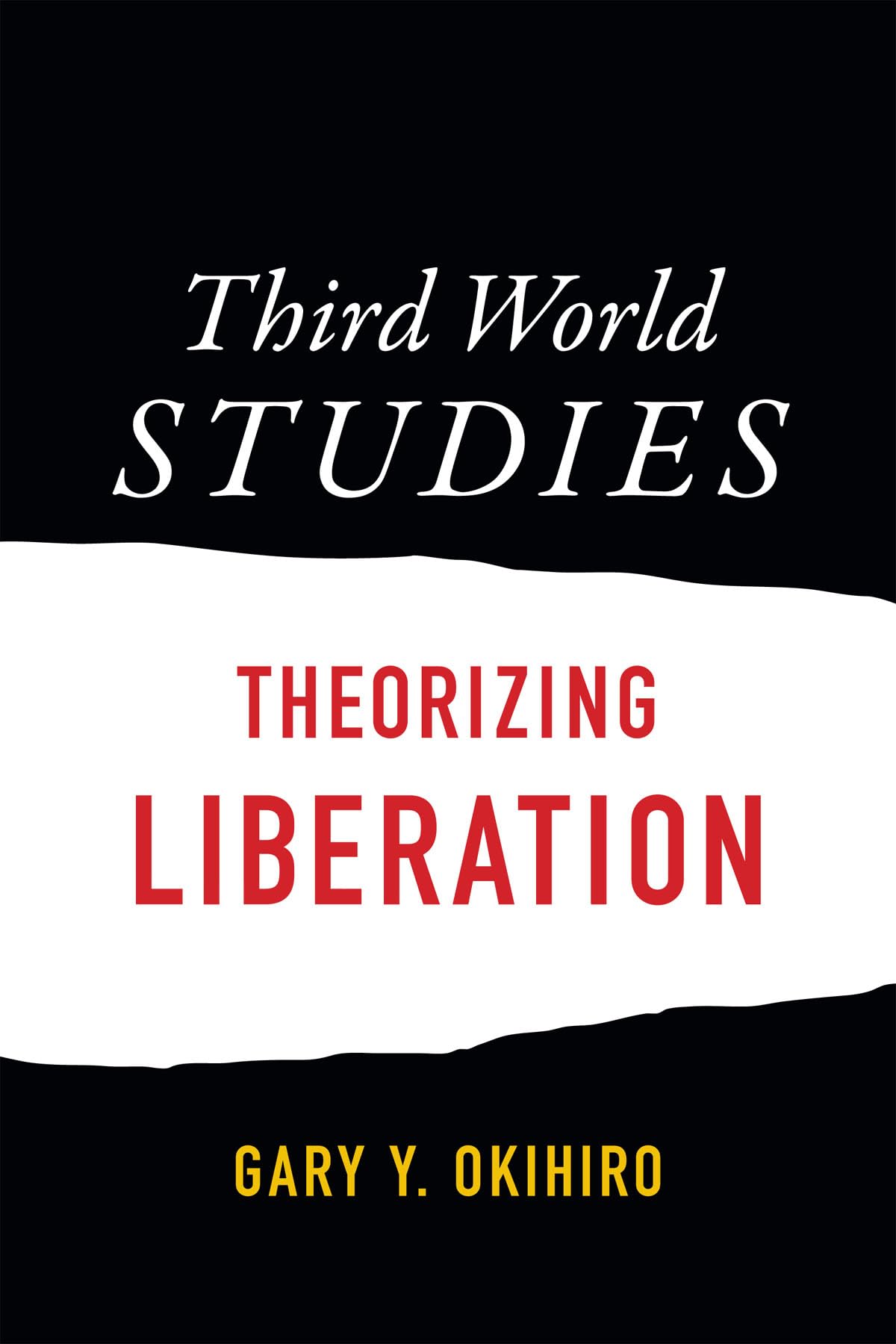 Third World Studies: Theorizing Liberation,Used