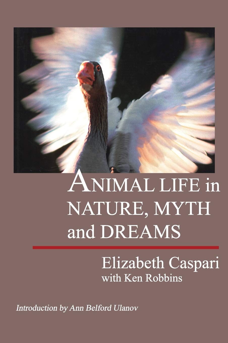 Animal Life in Nature, Myth and Dreams,Used