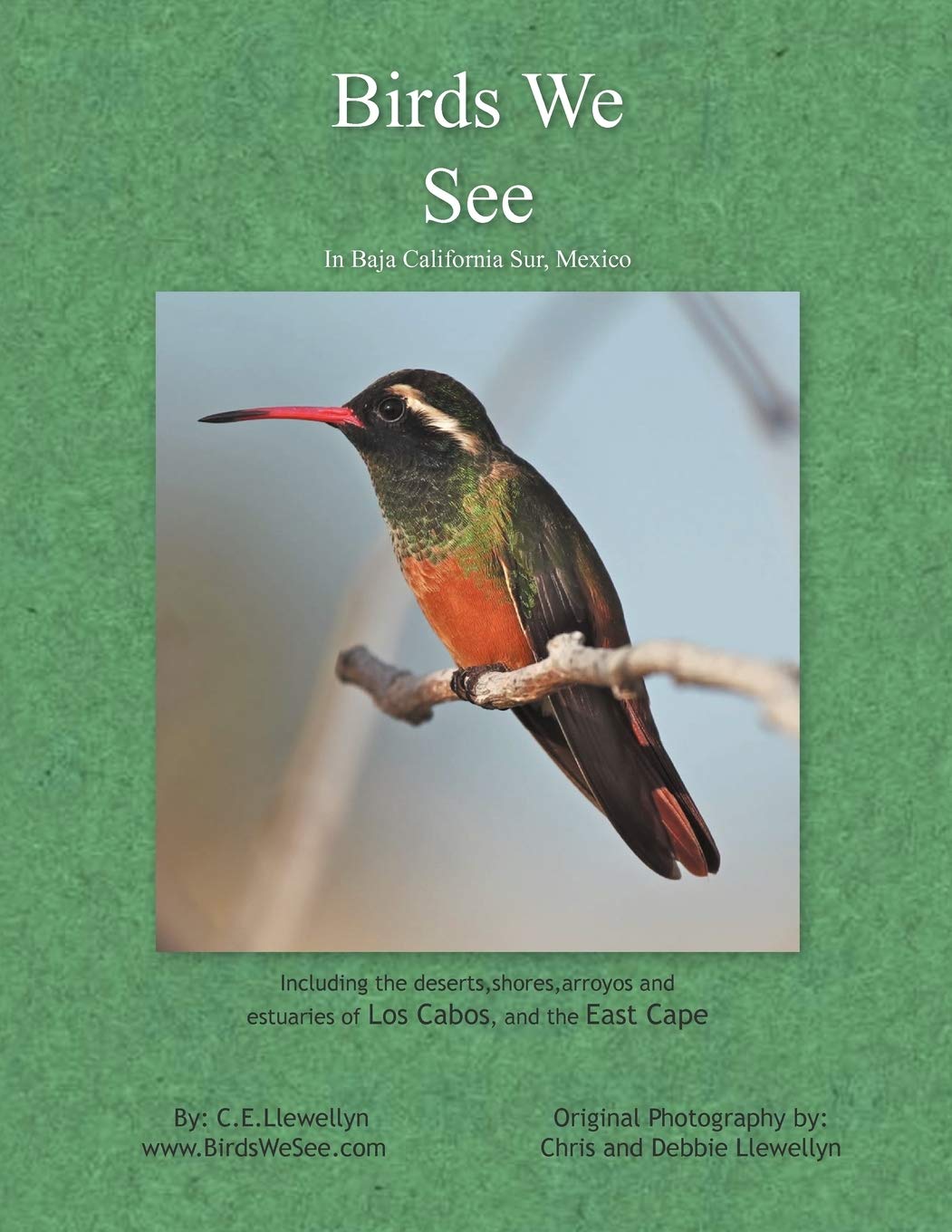 Birds We See,Used