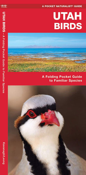 Utah Birds: A Folding Pocket Guide to Familiar Species (Wildlife and Nature Identification),Used