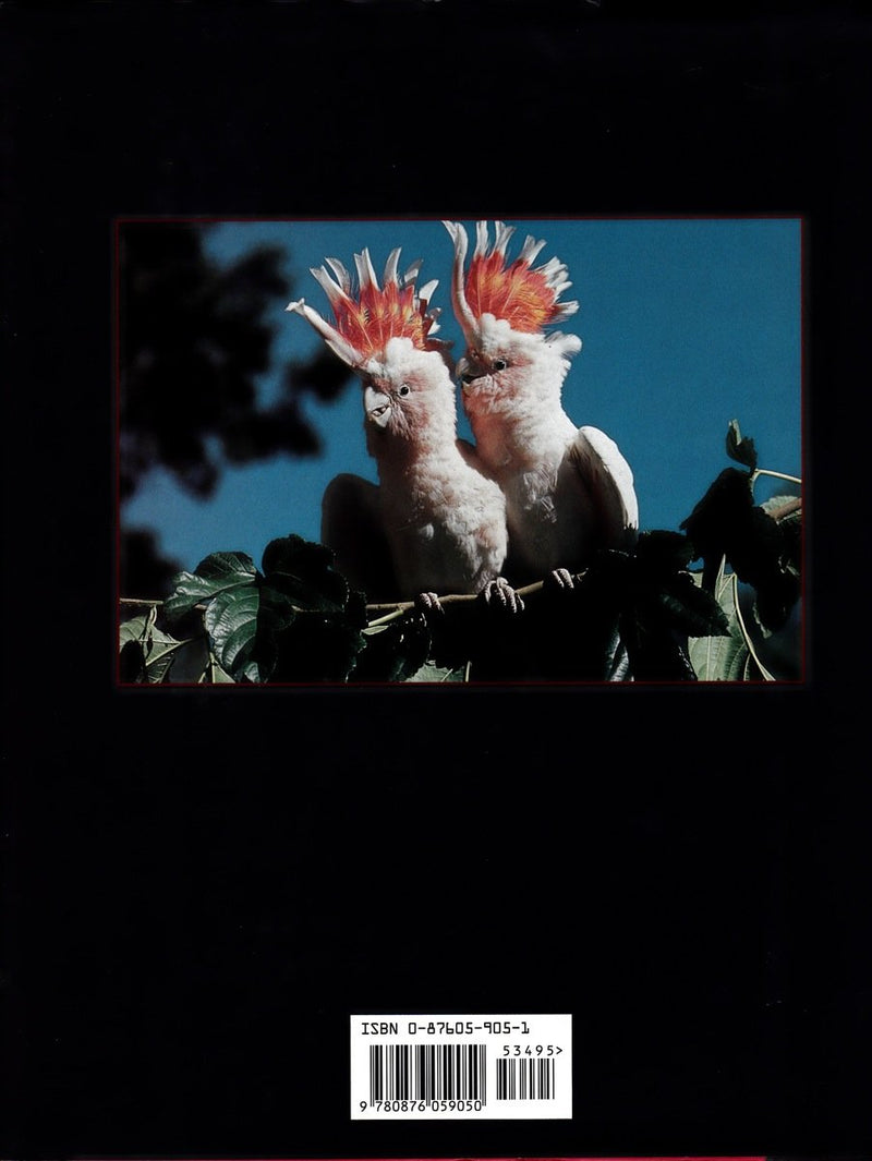 The Complete Parrot,Used