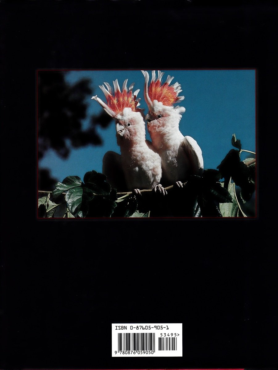 The Complete Parrot,Used