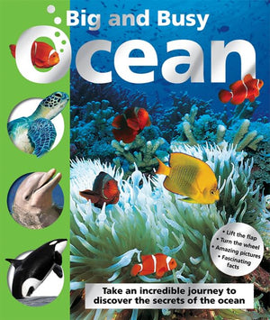 Big and Busy Ocean,Used