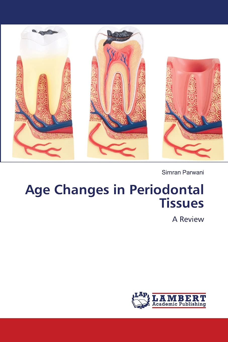 Age Changes in Periodontal Tissues: A Review,Used