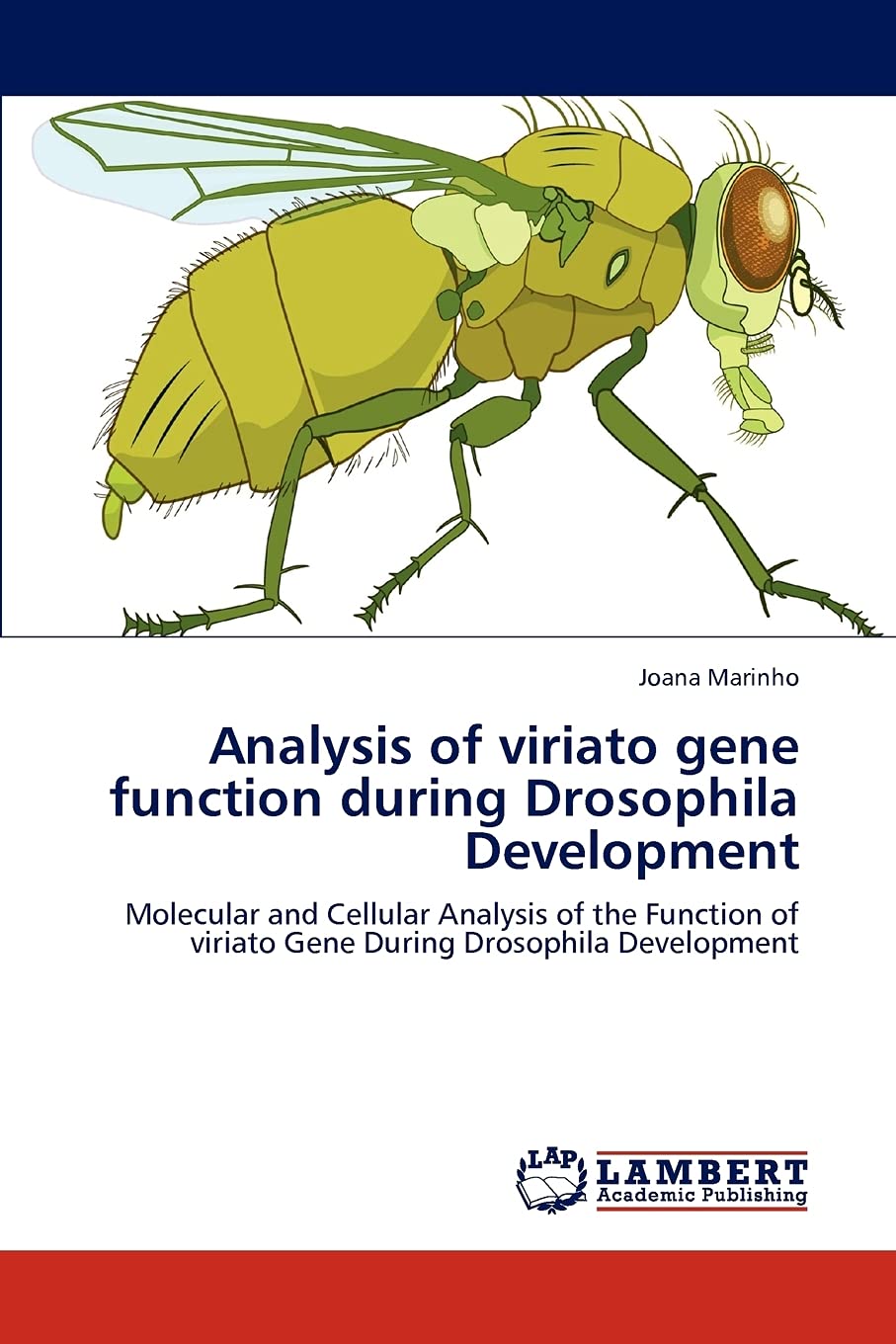 Analysis of viriato gene function during Drosophila Development: Molecular and Cellular Analysis of the Function of viriato Gene,Used