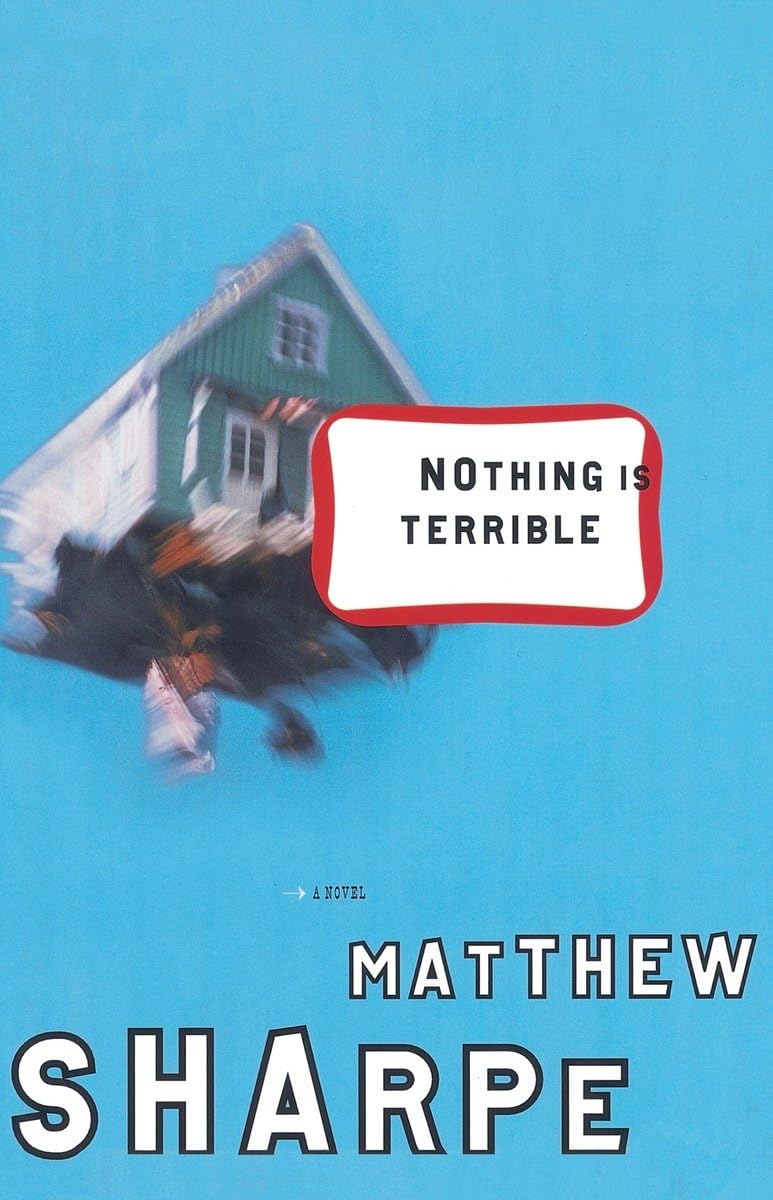 Nothing Is Terrible: A Novel,Used