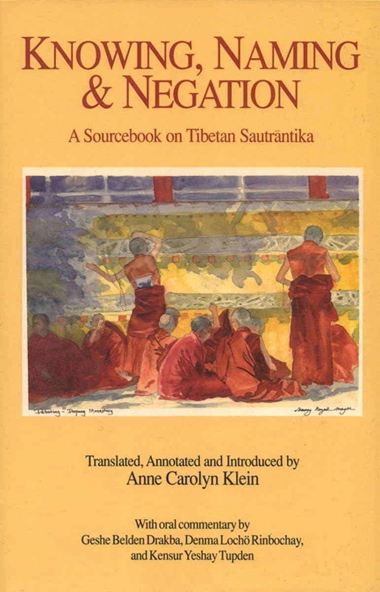 Knowing, Naming, And Negation: A Sourcebook On Tibetan Sautrantika (Translations In Indotibetan Buddhism)