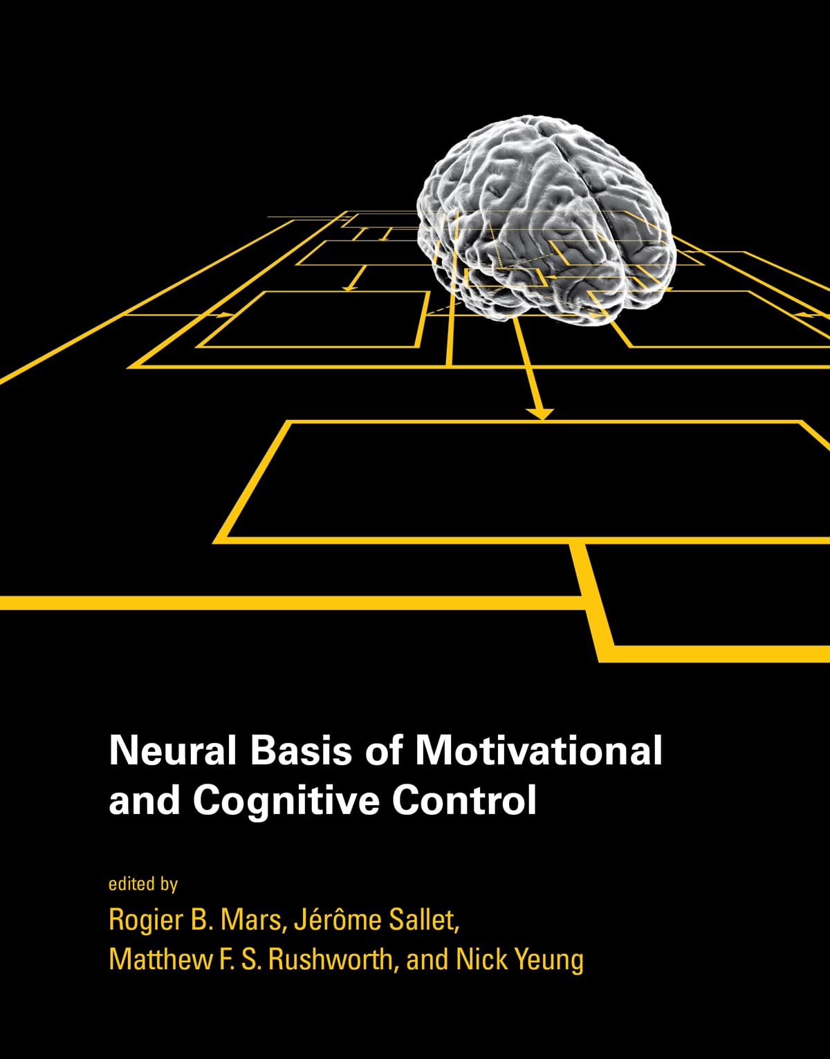 Neural Basis of Motivational and Cognitive Control (Mit Press),Used