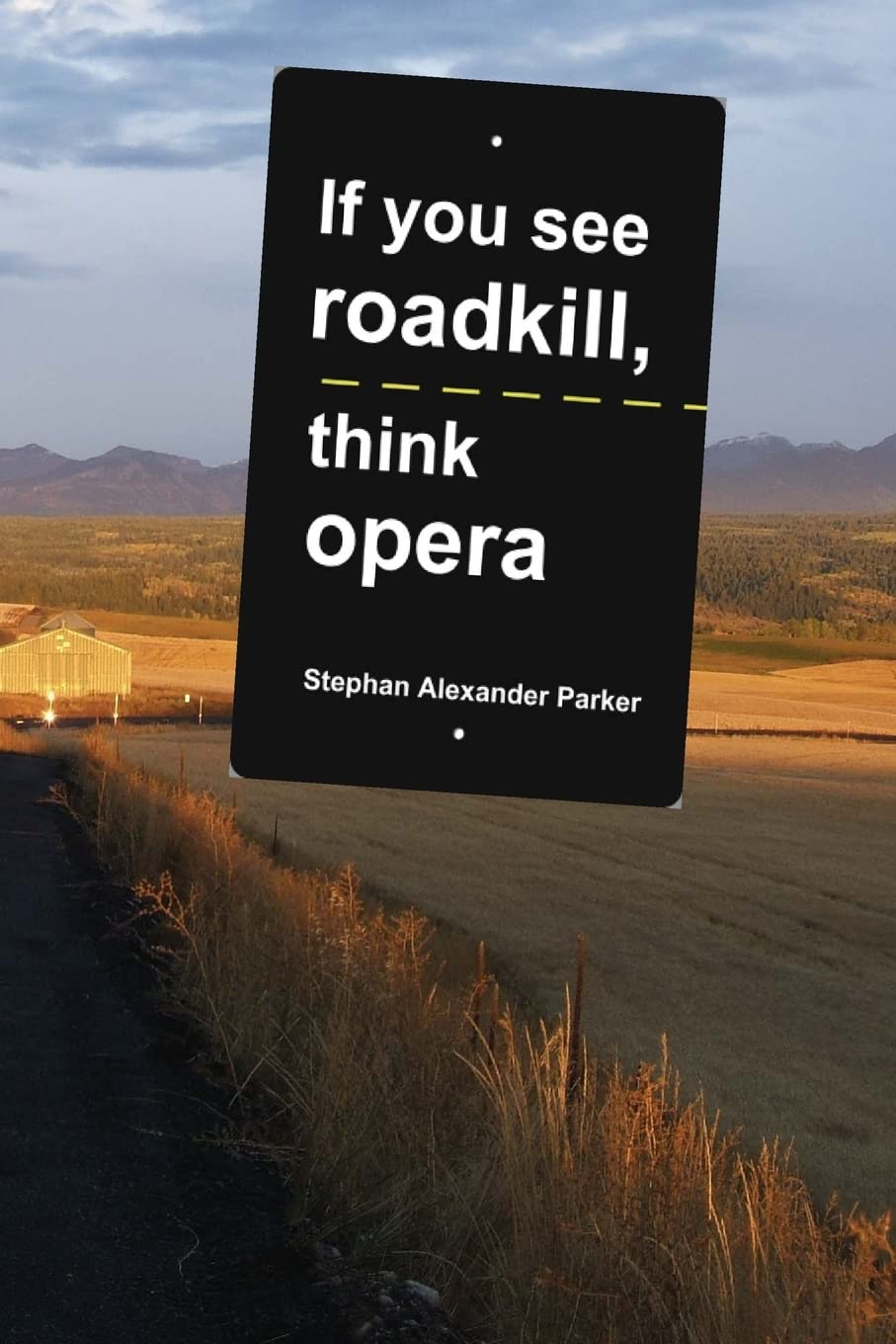 If You See Roadkill, Think Opera,Used