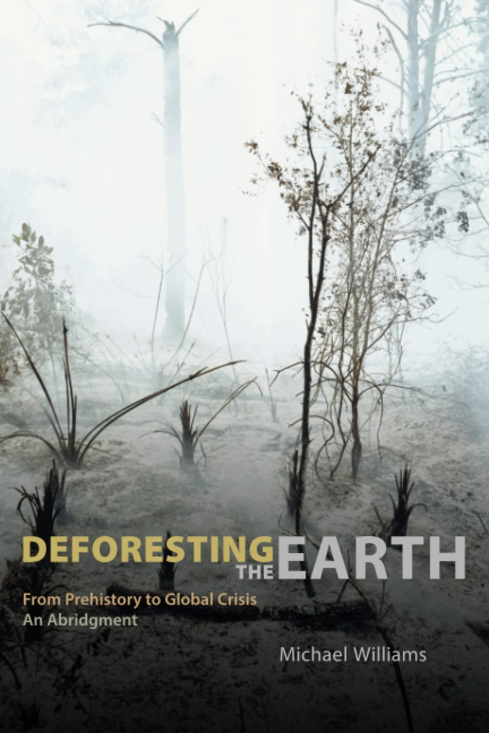 Deforesting The Earth: From Prehistory To Global Crisis, An Abridgment