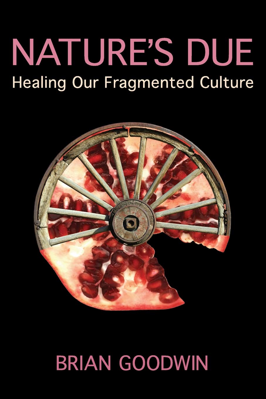 Nature'S Due: Healing Our Fragmented Culture,New