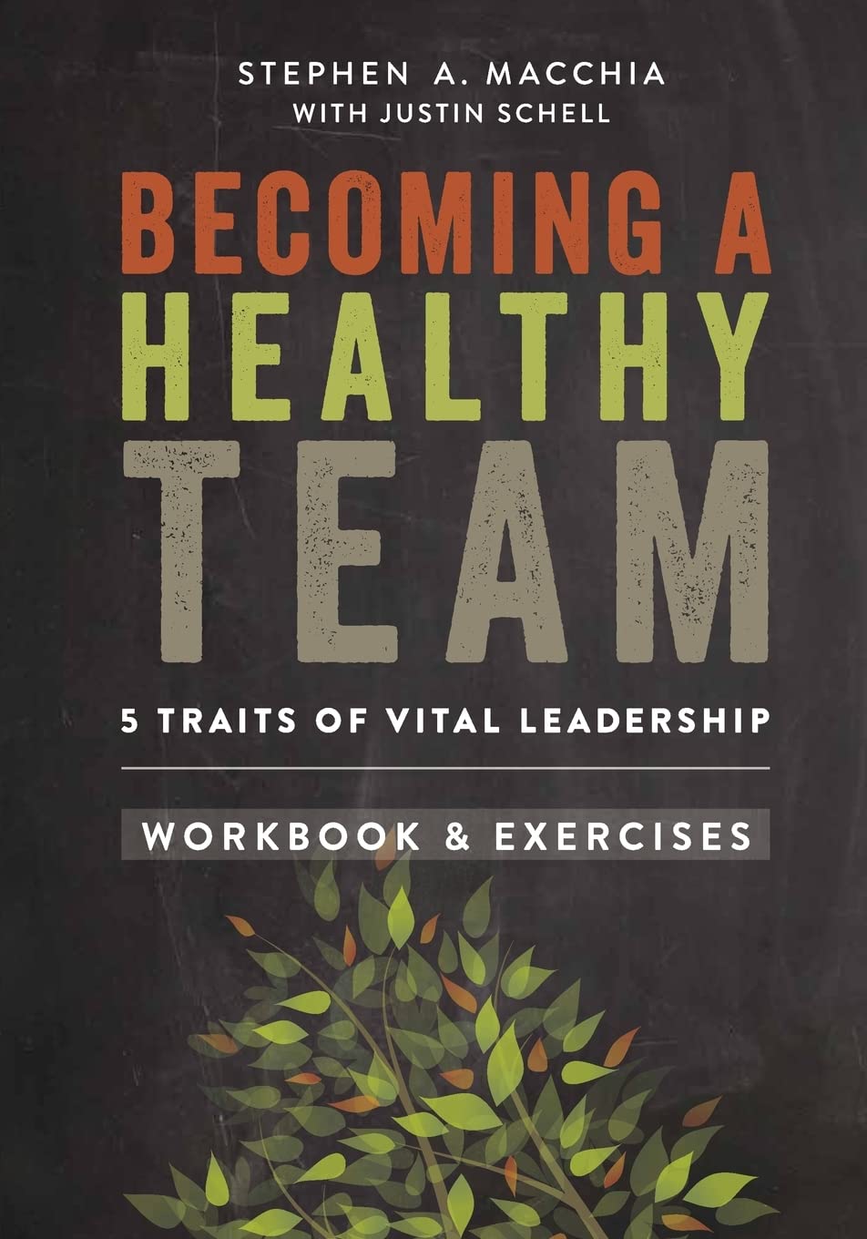 Becoming A Healthy Team: Workbook & Exercises,Used