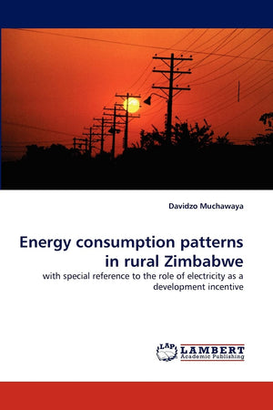 Energy consumption patterns in rural Zimbabwe: with special reference to the role of electricity as a development incentive,Used