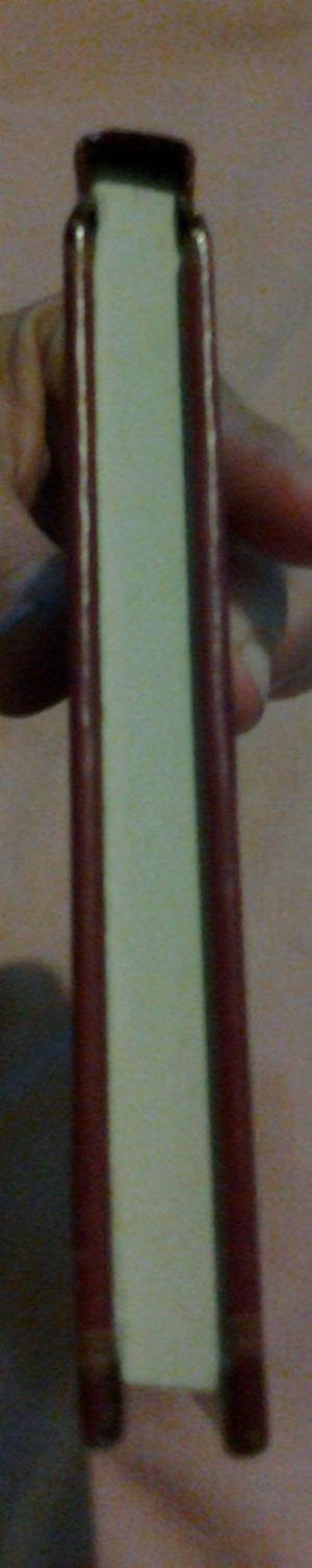 Mentor 101/ Mentoring 101 (Spanish Edition)