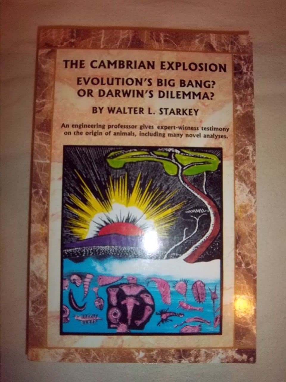 The Cambrian Explosion,New